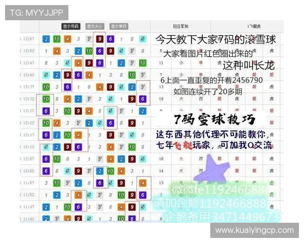 官方飞艇玩法全解析及实用技巧助力玩家轻松掌握操作