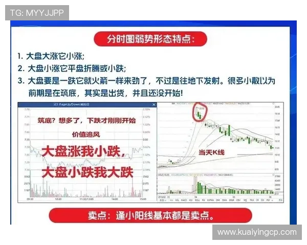 全面解读河内1分彩走势波动规律与数据分析技巧提升稳定判断能力