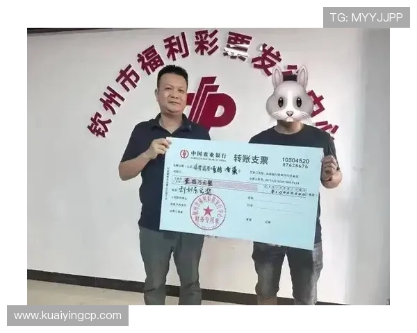 彩票选号攻略揭秘：科学分析与实用技巧提升中奖概率